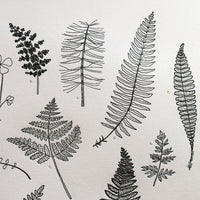 Letterpress wall art fern chart print