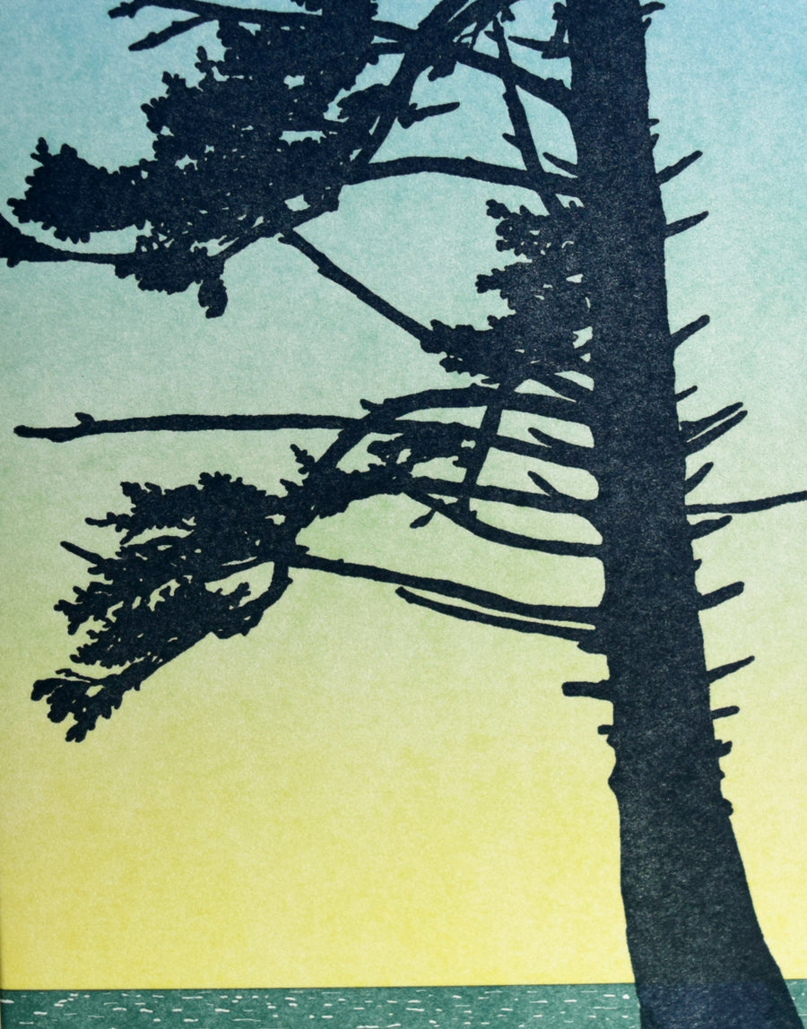 Oregon Coast Card