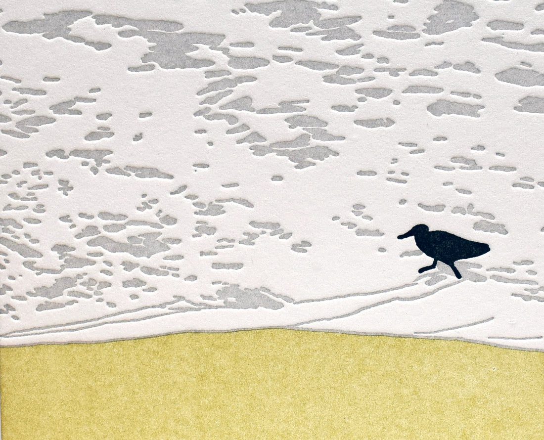 Seashore Sandpiper Card